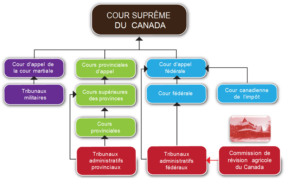 La Commission dans le système judiciaire canadien
