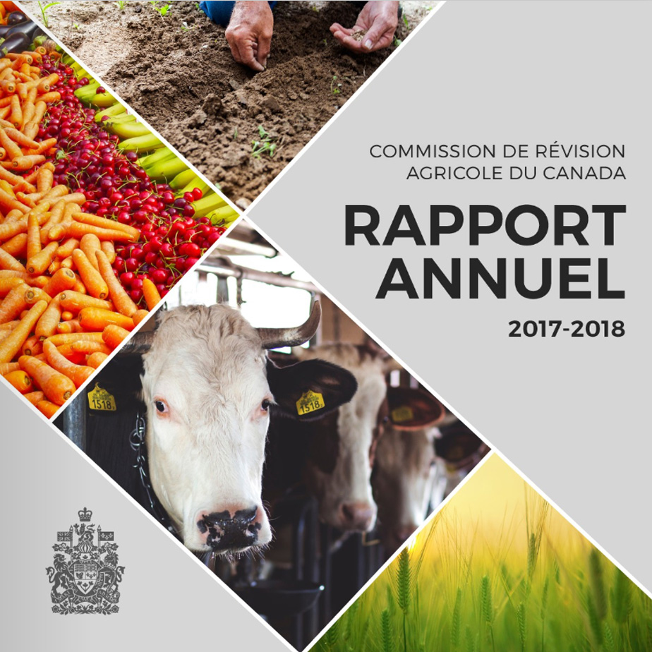 Image du rapport annuel 2017-2018 de la Commission