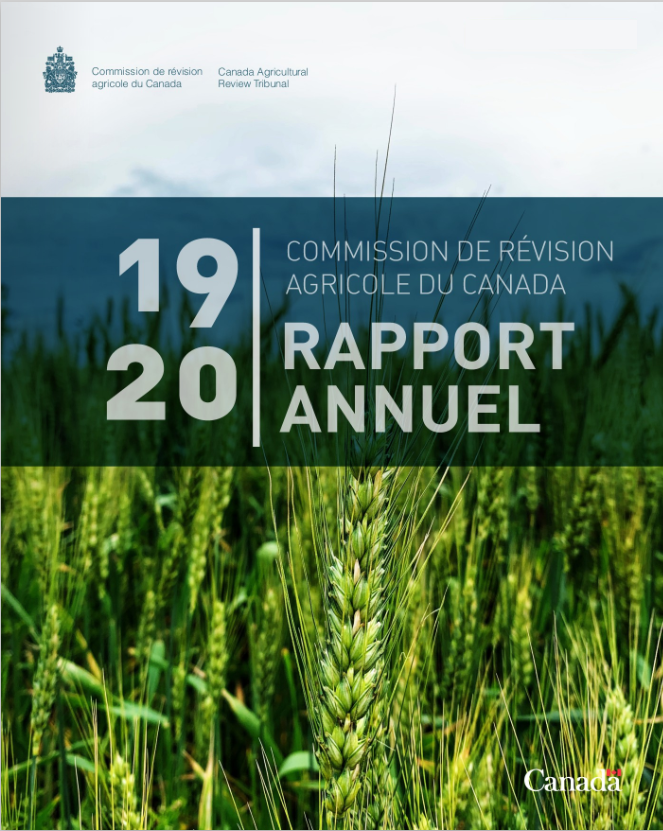 Image du rapport annuel 2019-2020 de la Commission