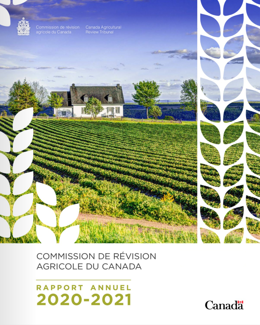 Image du rapport annuel 2020-2021 de la Commission